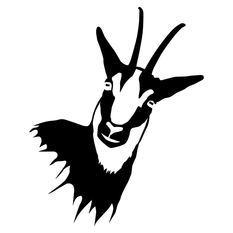 Gams