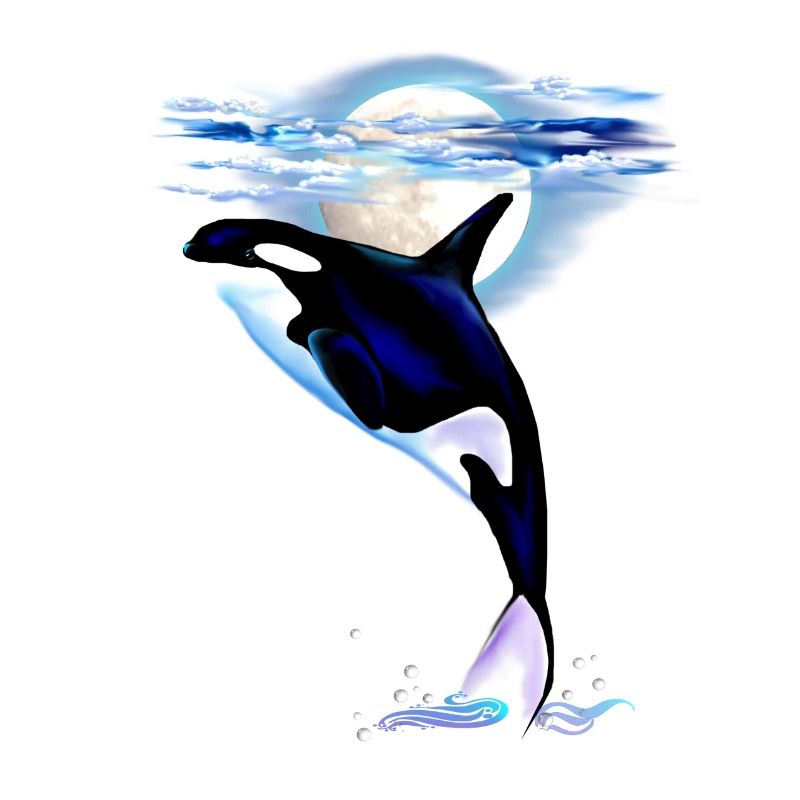 MOONSHINE ORCA