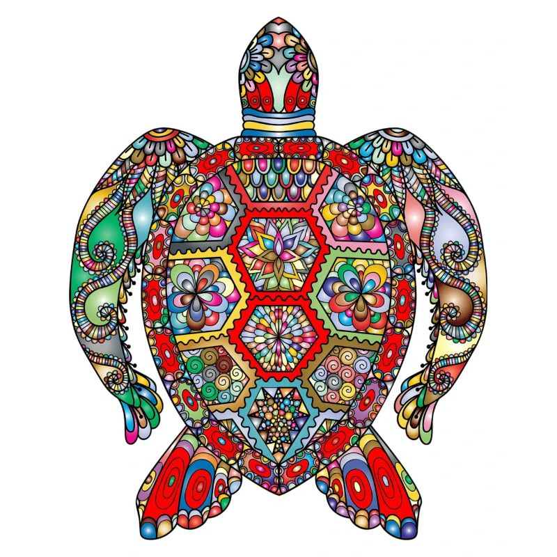 sea turtle colourful