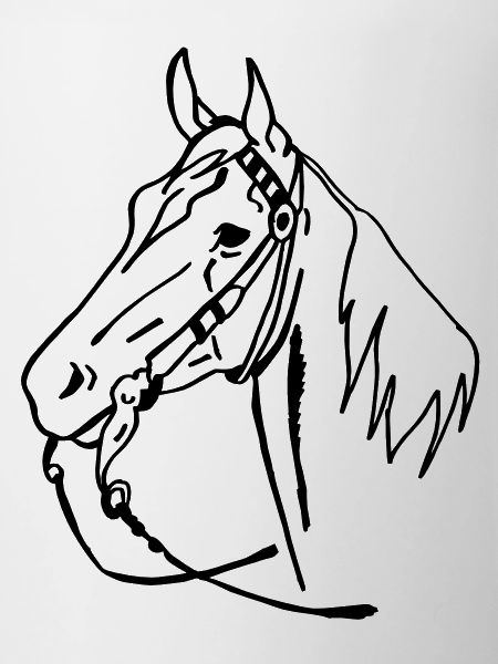 cheval western