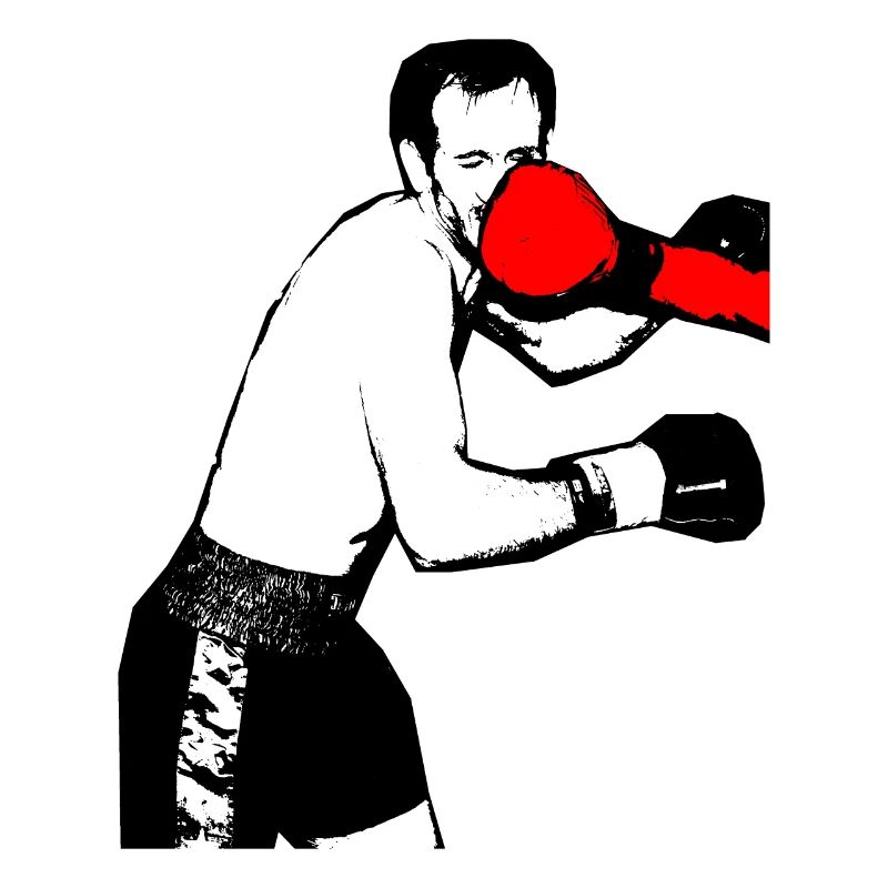 Boxer direct hit