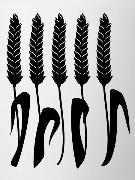 Weizenähren / wheat spike (1c)