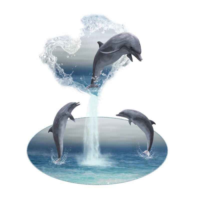The Heart From The Dolphins