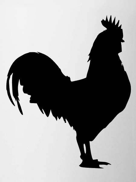 fowl