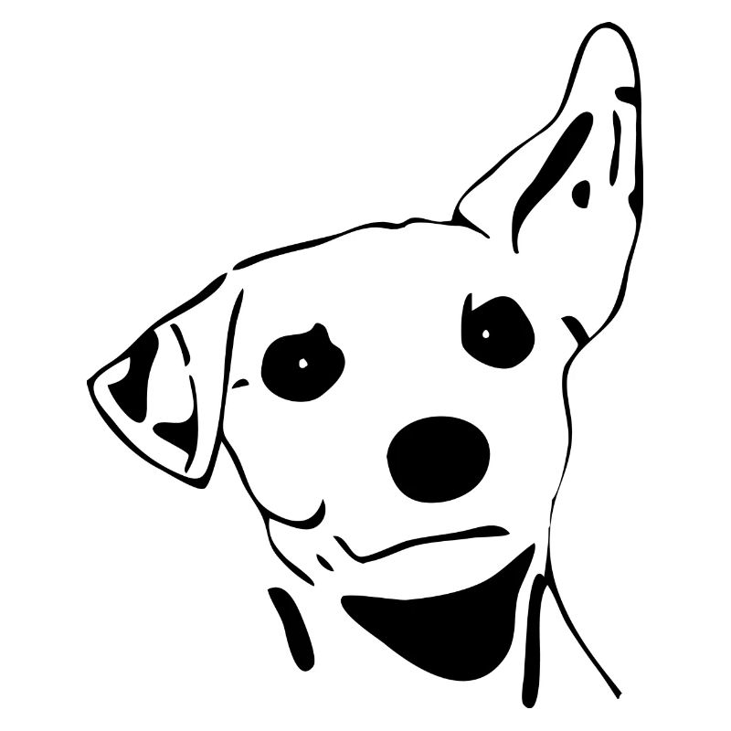 Hund, aufmerksam, Geschenk, Idee