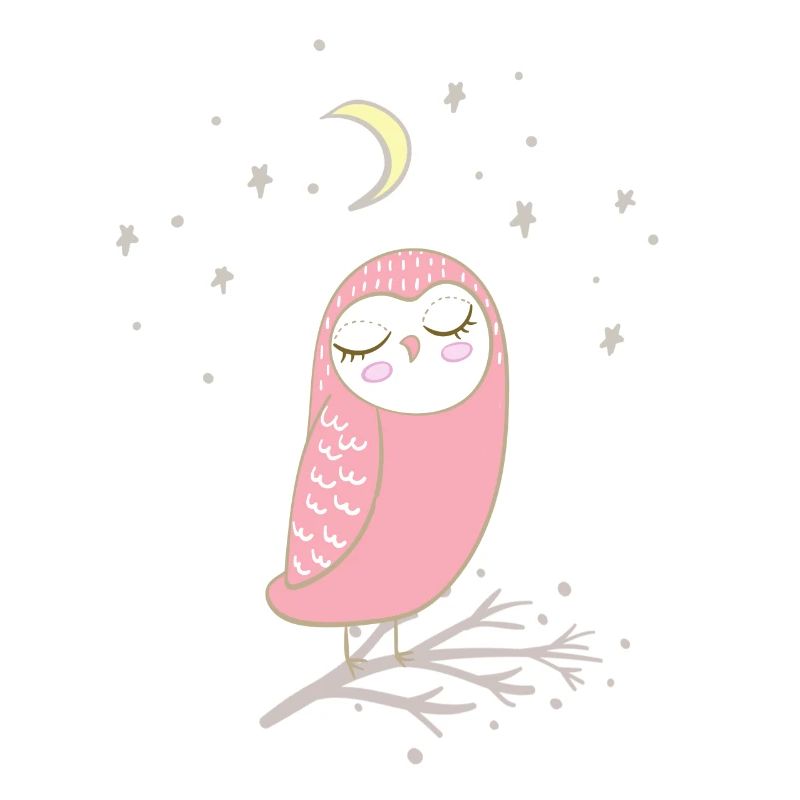 owl | night owl