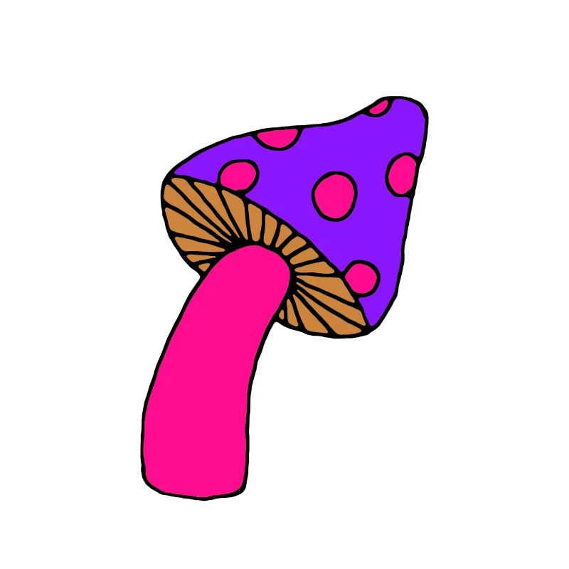 Champignon psy violet