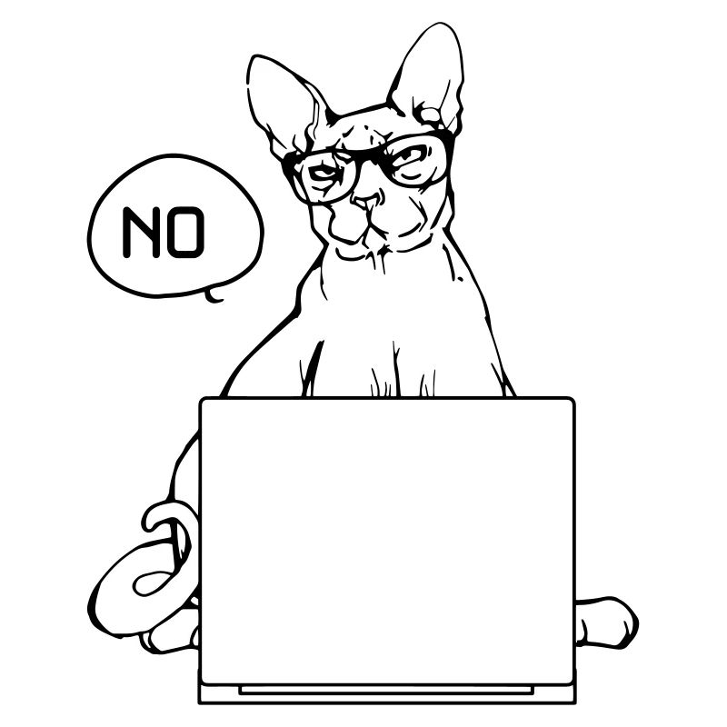 it shirt cat no