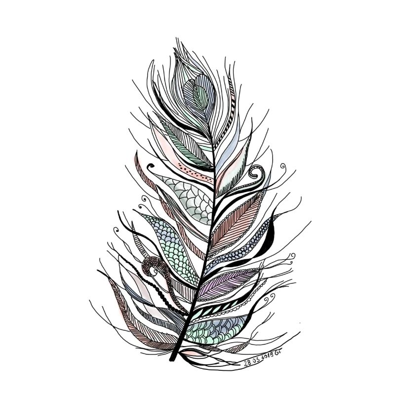 zentangle plume coloré no three