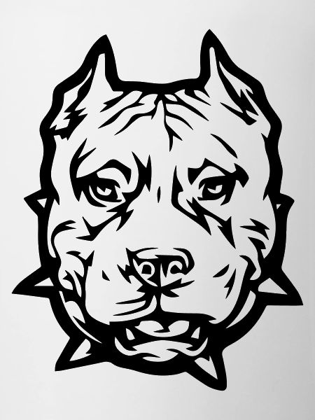 pitbull_1