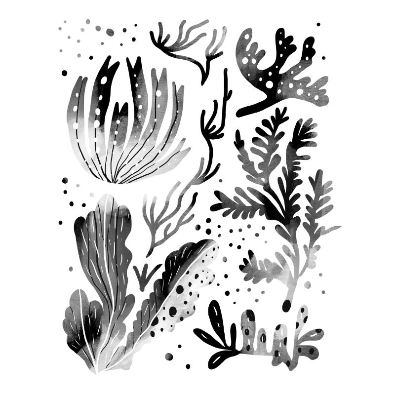 Algae underwater diving