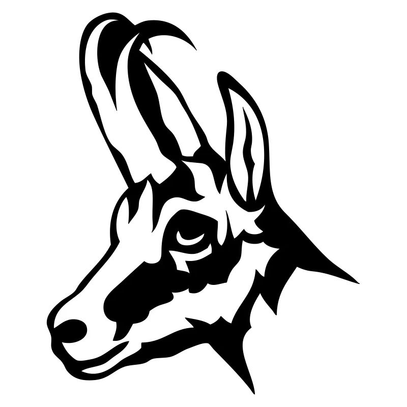 chamois animal sauvage 1102