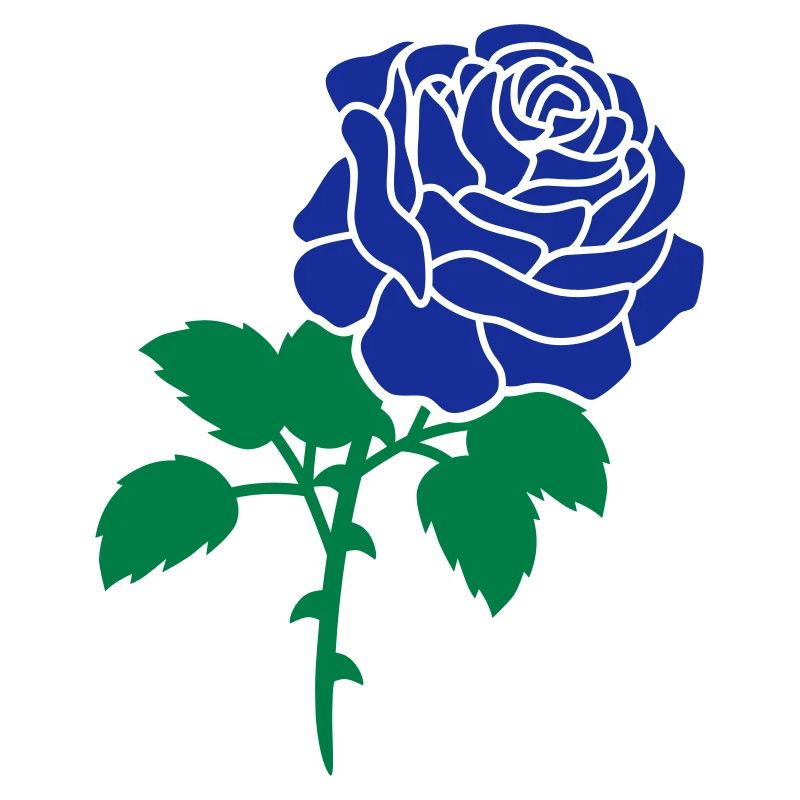 Blue rose