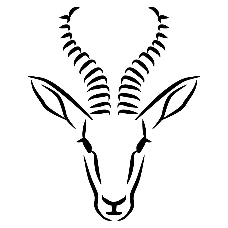 Springbock