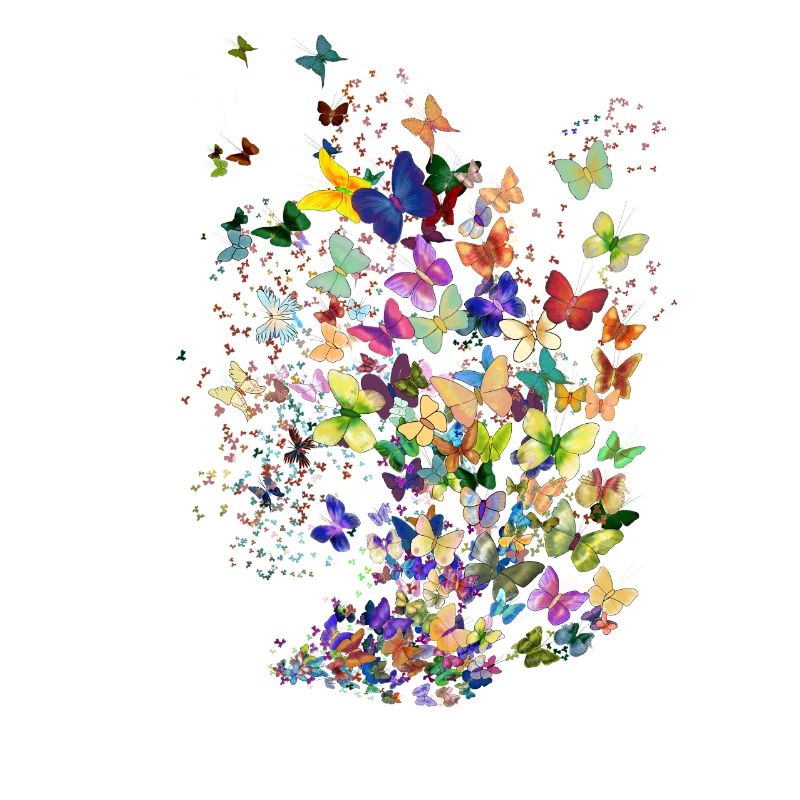 Des milliers de papillons