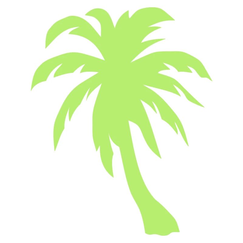 palm tree palm palms