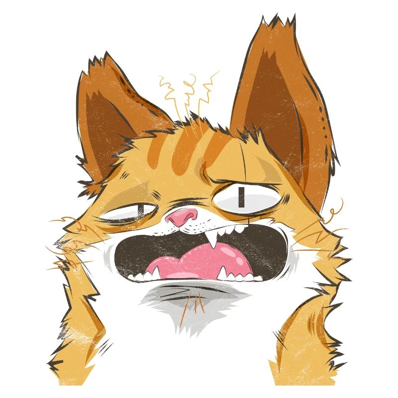 Crazy cat