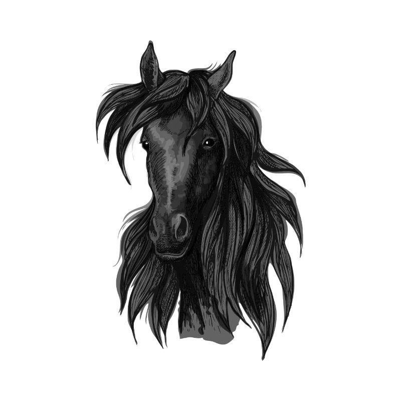 Pferd