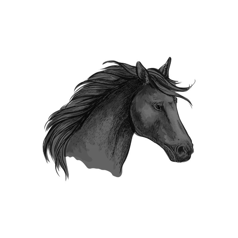 Pferd