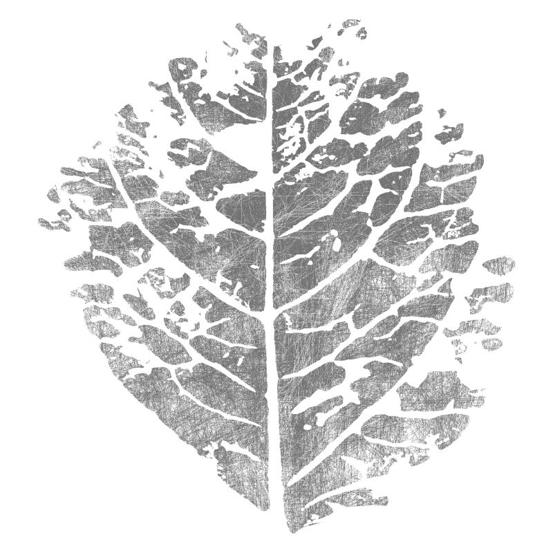 Blatt - Japan Knöterich