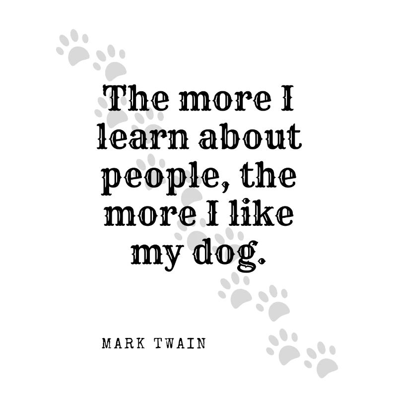 J'aime mon chien.