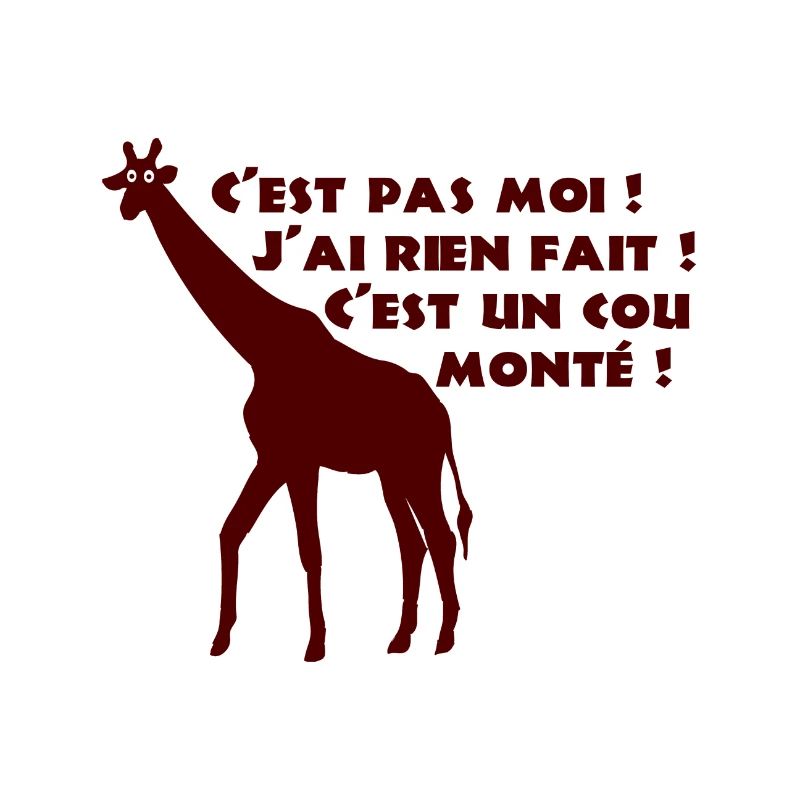 C'EST PAS MOI, J'AI RIEN FAIT, C'EST UN COU MONTÉ