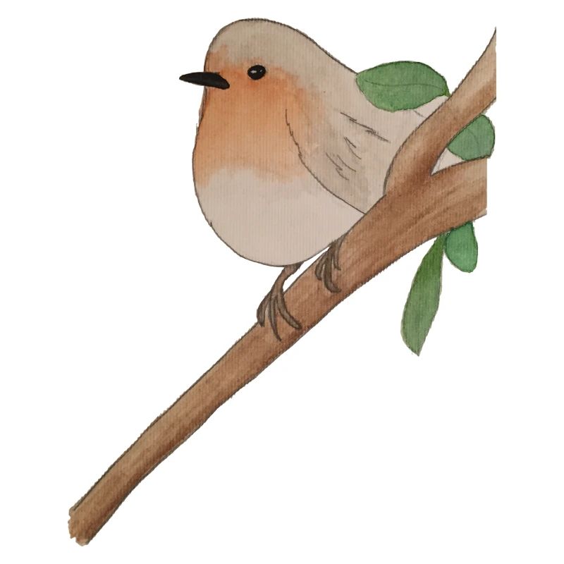 Robin