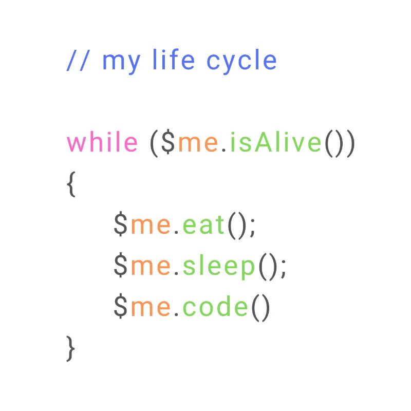 my life cycle dev