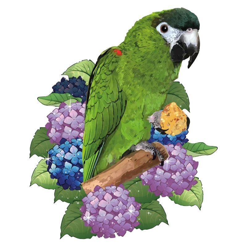 Noble ara
