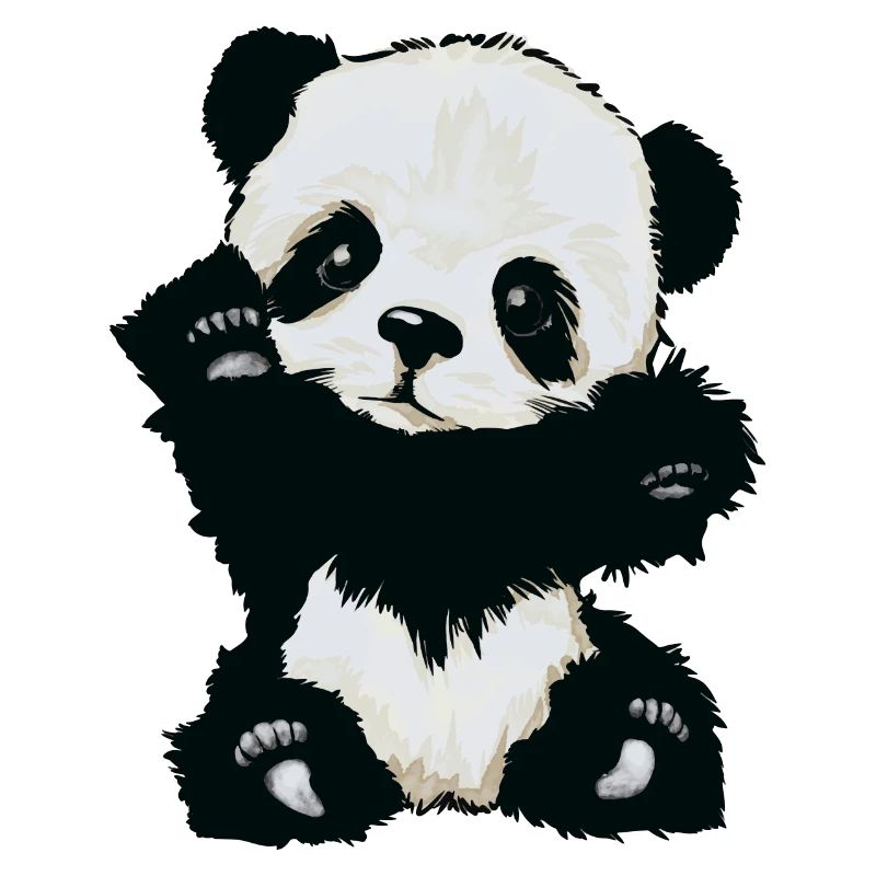 Bébé panda