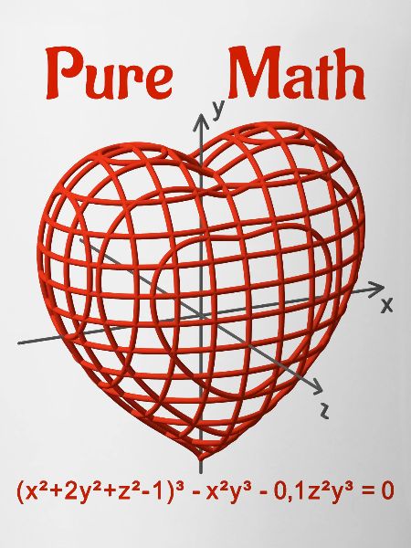 Heart Function 3D - Pure Math