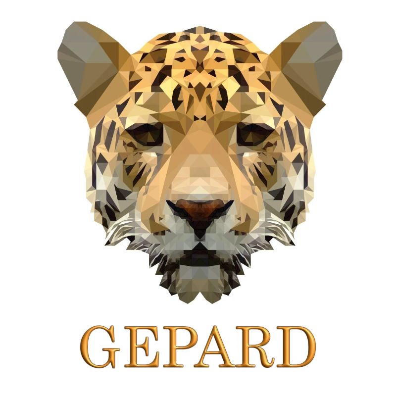Cheetah With 3D font