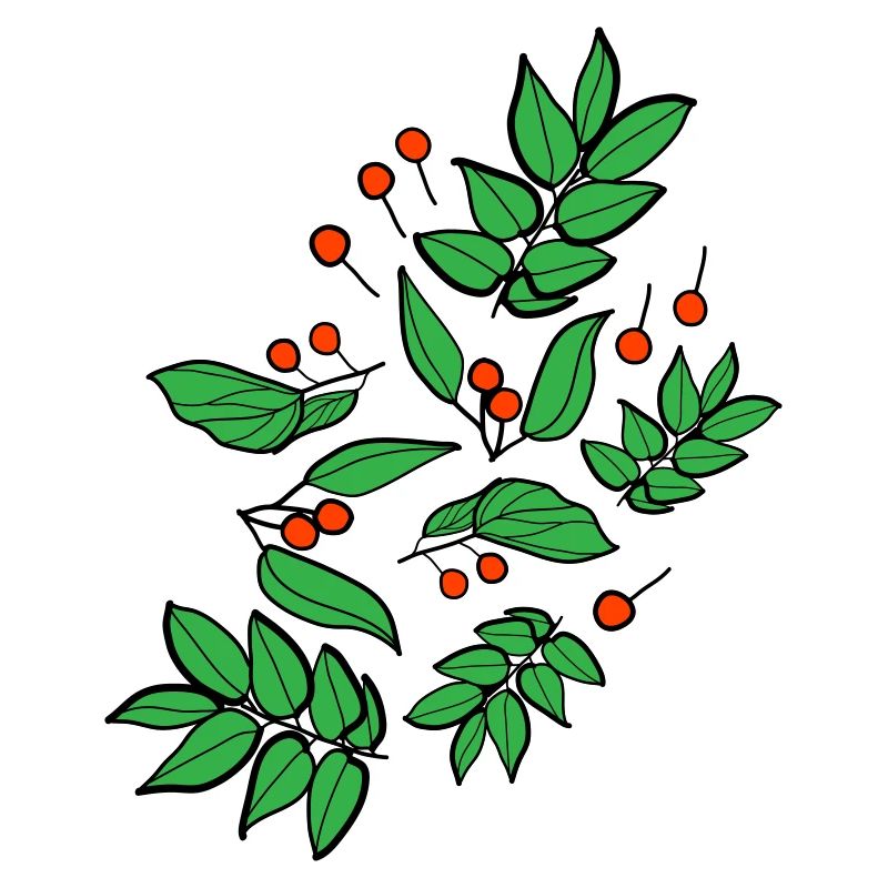 berries c3