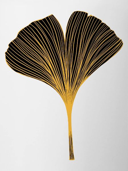 Ginkgo