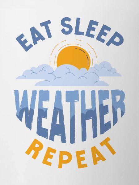 Meteorologist Weather Forecast