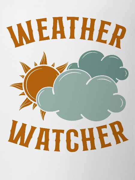Meteorologist Weather Forecast