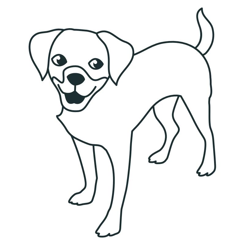 chien chiot debout