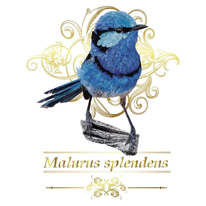 Le splendide maluro