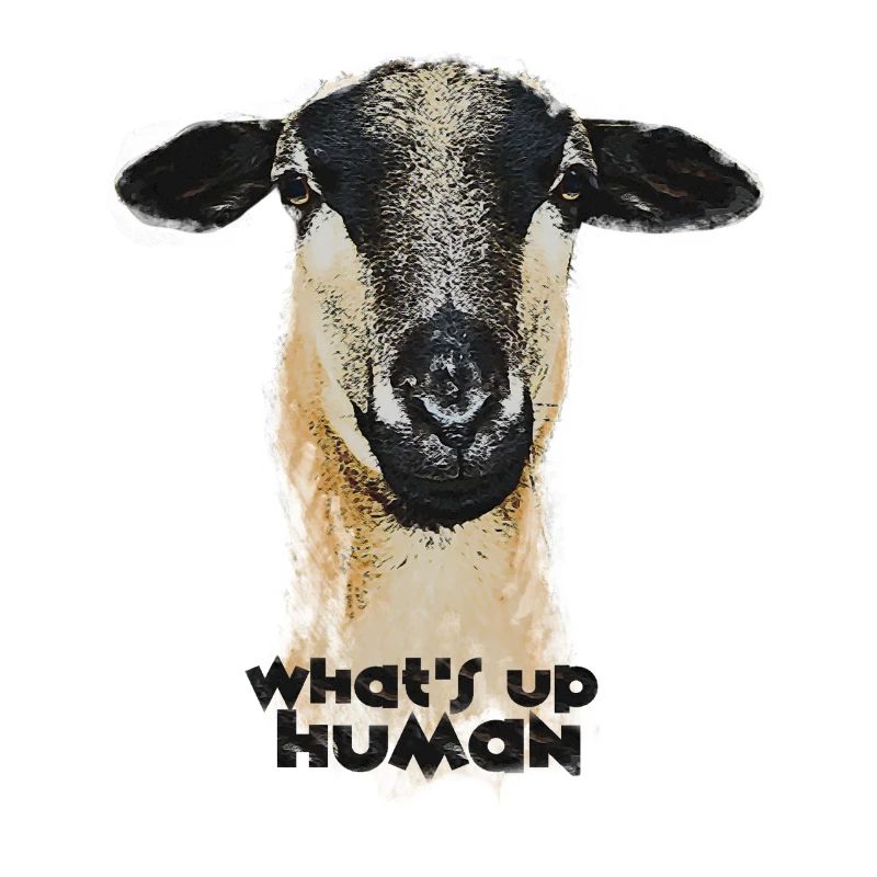What´s up, Human