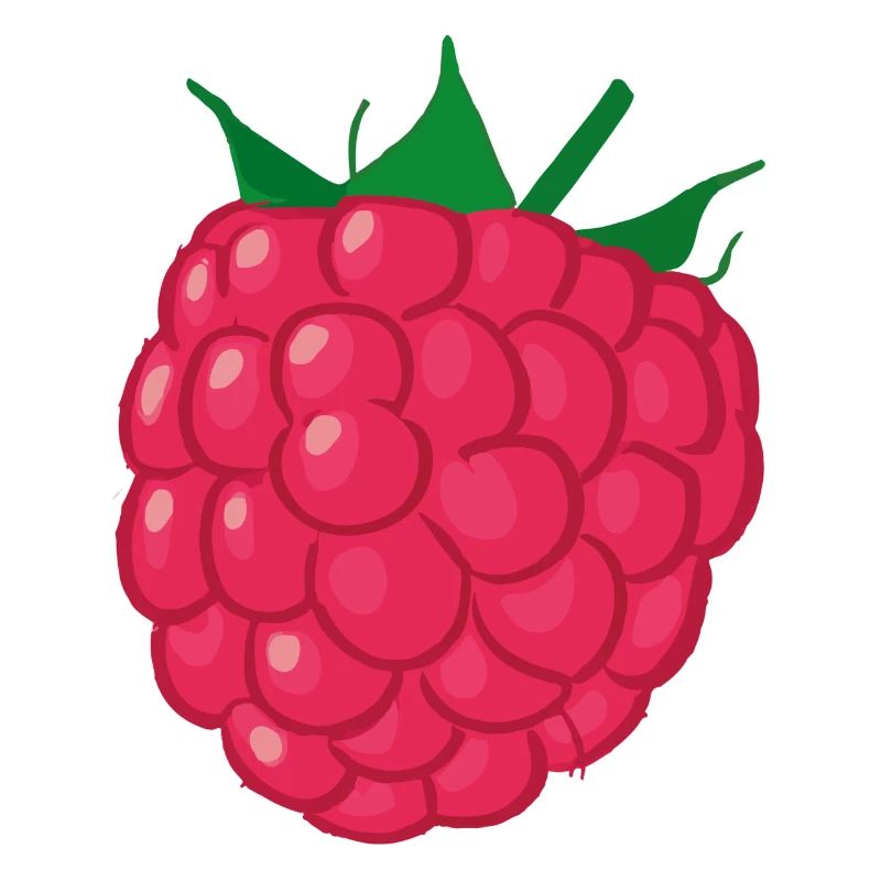 Idée cadeau d’illustration de framboise