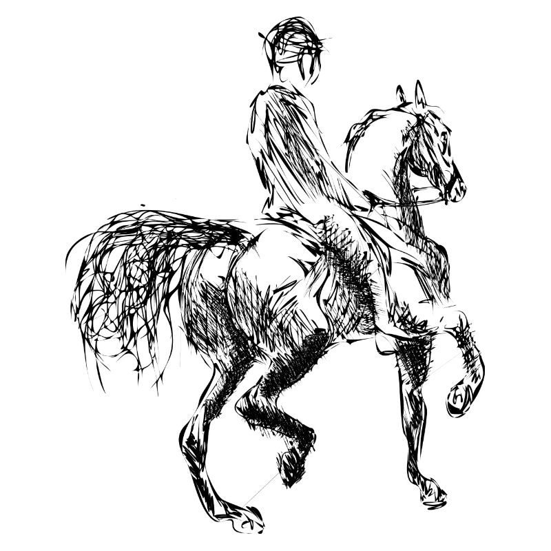 Pferd und Reiter
