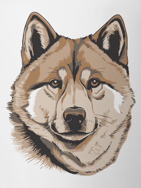 Akita