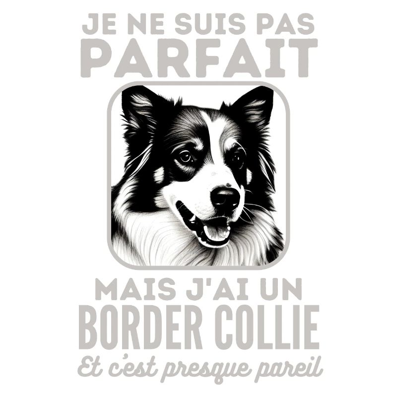 Pas parfait mais j ai un border collie 1