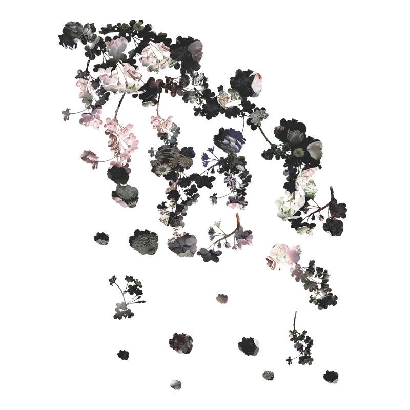 Printemps,Vrilles,Fleurs,Floral,Ffleur,Shabby Chic