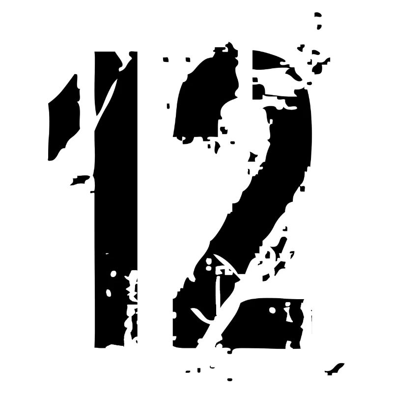 12 Number 12 years