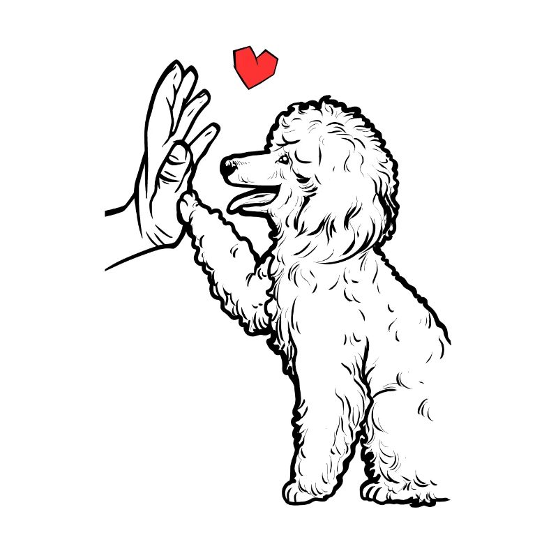 Poodle Cute Poodle Love Poodle