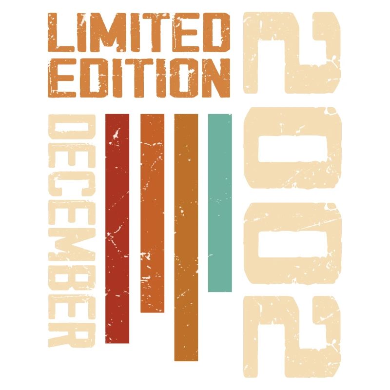 December 2002 - 2002 December