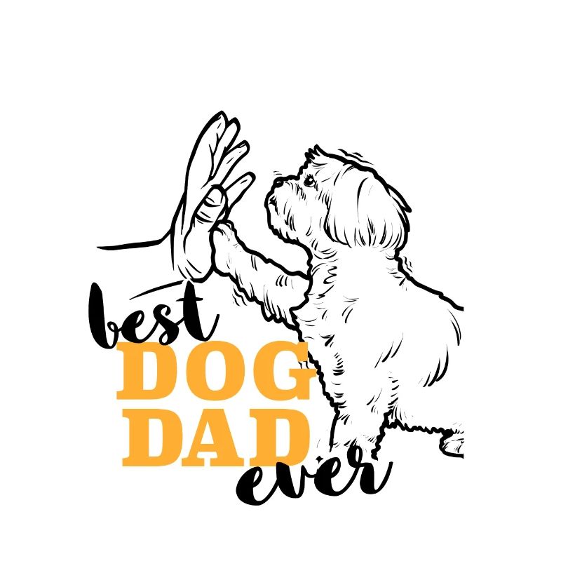Bester Shih Tzu Papa
