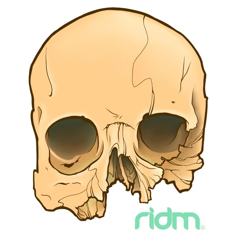 Ridm Crâne d’Orange