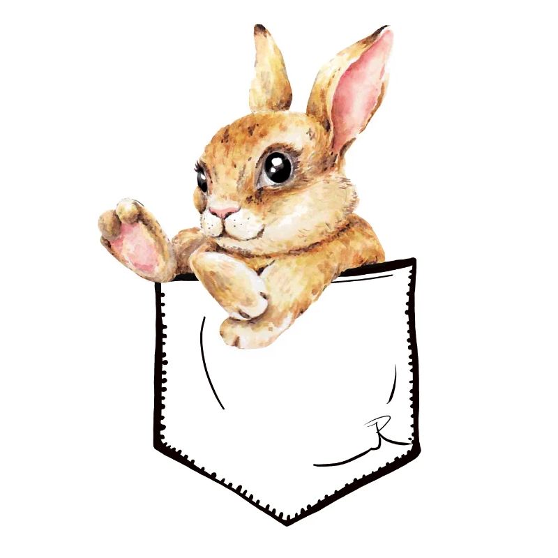 Cute Bunny